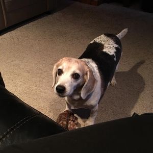 Meet your Posher, Susan